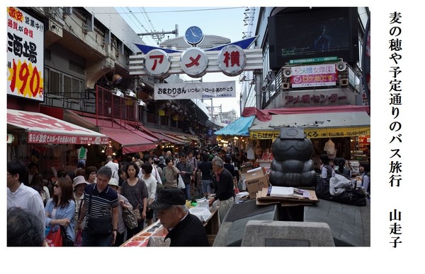 麦の穂や予定通りのバス旅行