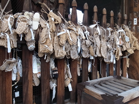 R0014731.JPG