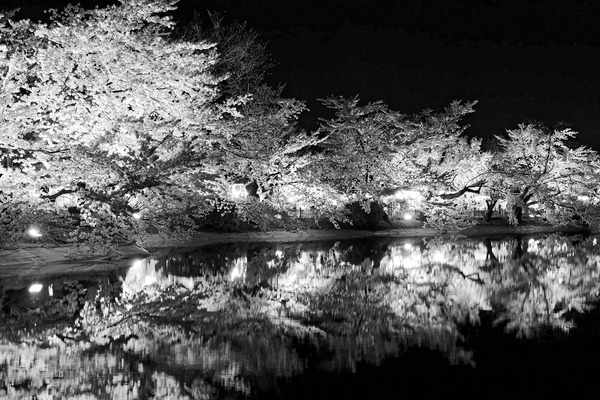 夜桜 (1 - 1)-3