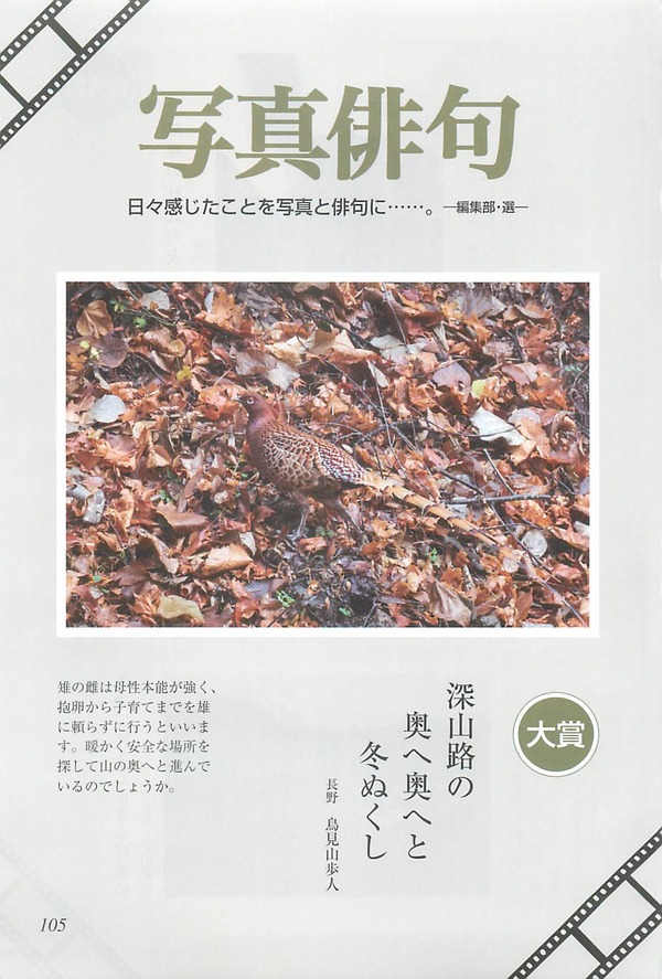 俳句界2019年02月号