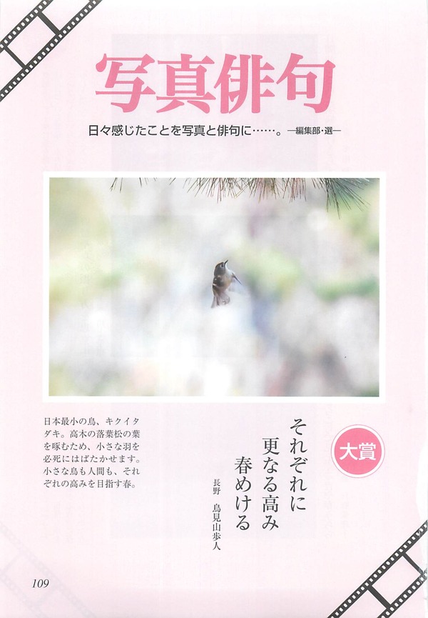 俳句界2019.05