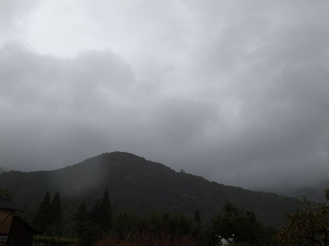 R0014802.JPG