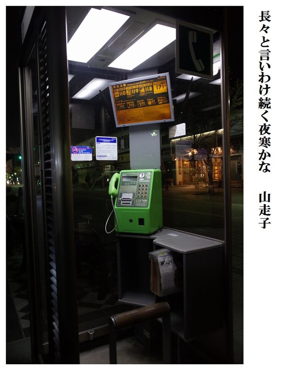 長々と言いわけ続く夜寒かな