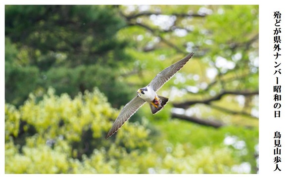 ほとんどがけんがいなんばあしょうわのひ