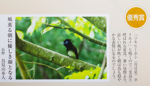 20118-06-25 俳句界7月号 (1 - 1)
