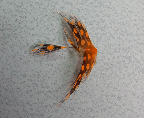 ジャングルコック フライ マテリアル Junglecock / ジャングルコック