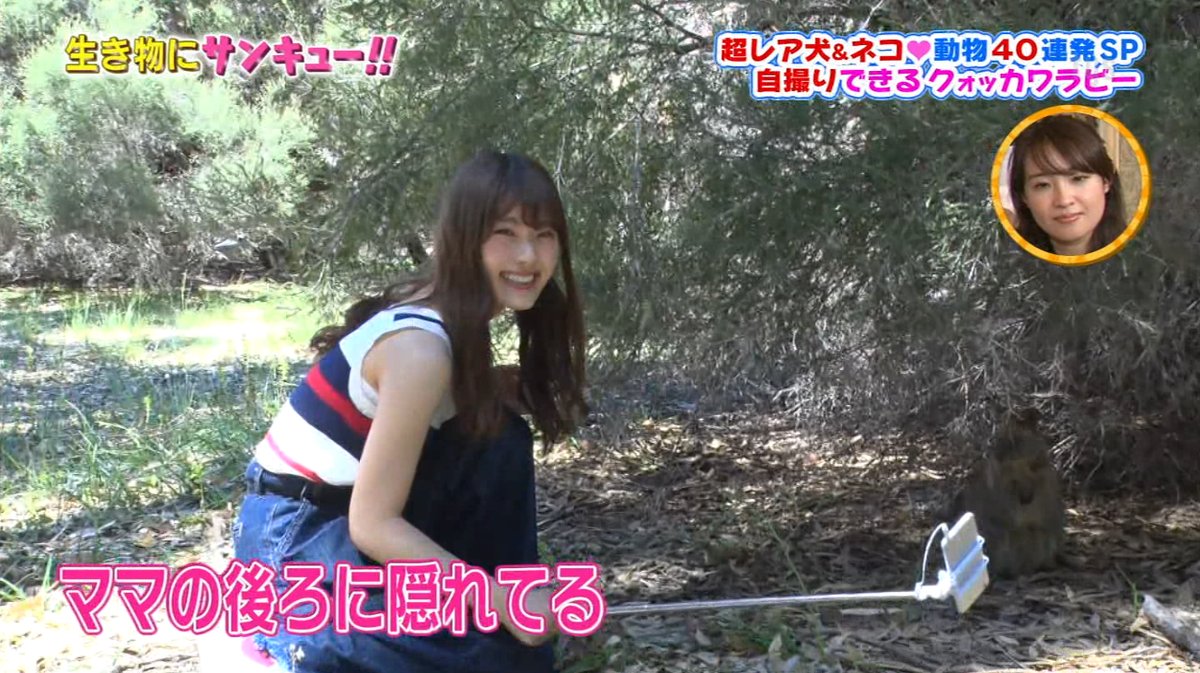 トコトン掘り下げ隊 生き物にサンキュー 2018年9月5日 Part 3 動画 Dailymotion