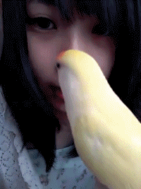 高柳明音ちゃんの画像が集まるスレ Ske48 Nmb48 Nmb48まとめスピリッツ 高柳明音ちゃんの画像が集まるスレ Ske48 Nmb48 Nmb48まとめスピリッツ
