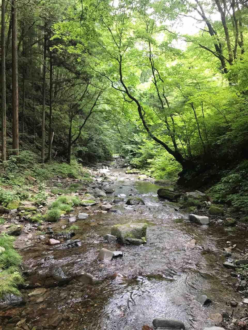 ある意味 澤 談話室 澤