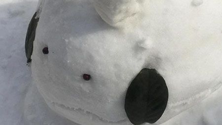 ポケモン「ヌメラ」の雪だるま作ったったｗｗｗｗｗｗ（※画像）