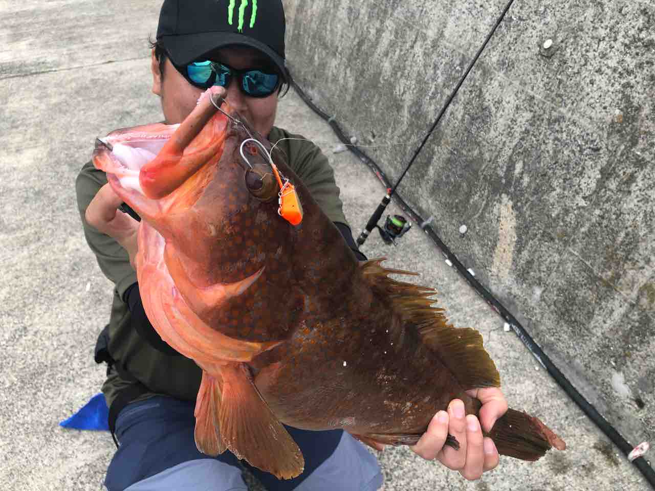 瀬戸内ショアテンヤ ダースミ日記