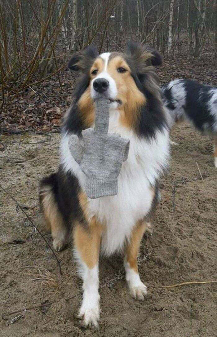 朗報 新しいイーヌが発見されるwwwwww Nndm Jまとめ