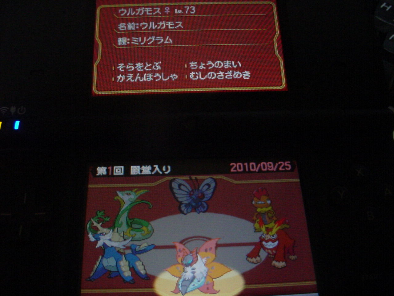 イッシュ図鑑が完成したよ じだゲー出張所仮