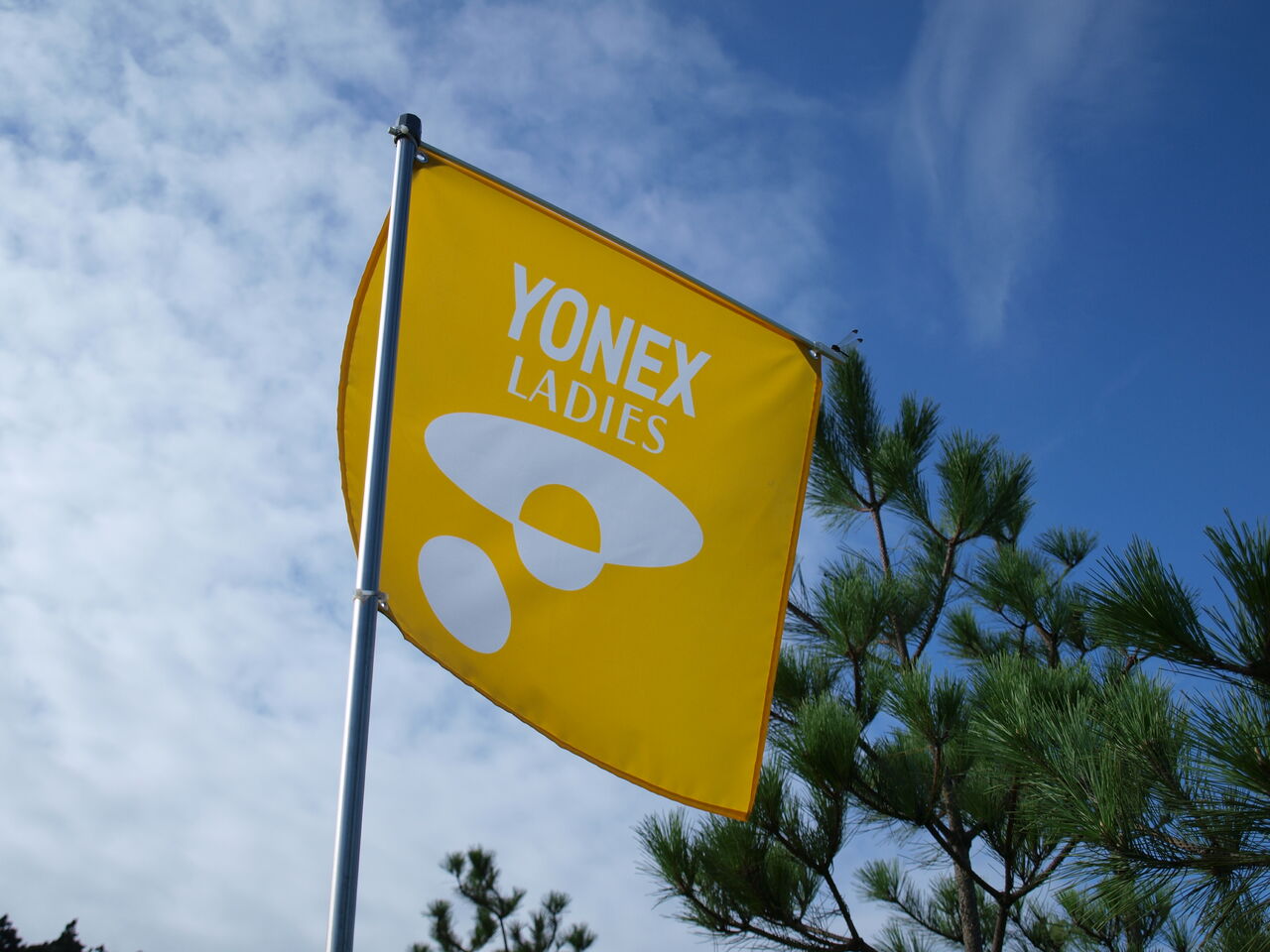 はざま世代って言わせない ヨネックスレディス菅沼菜々 気になるアスリート