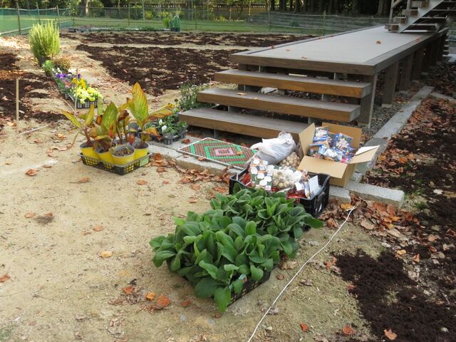 画像有り ガーデニングガチ勢なのか 広大な庭に注目が集まる グリーンらいふまとめ