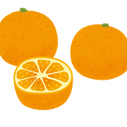 fruit_mikan_set