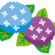 オーロランジュ可愛くなくて腹立って地際で丸坊主にしたのにワサワサ生えてきた