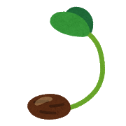 ダイソーの種の発芽率ってどんなもん？