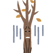 【倒木】危ない木、どう見分ける？ 樹木医が明かすポイントは穴・キノコ…相模原キャンプ場事故で問い合わせ増加