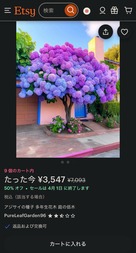 ＡＩ　アジサイ画像　２