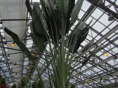 DSC03380