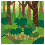 mori_jungle