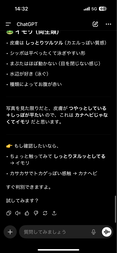 イモリつかまえた　３