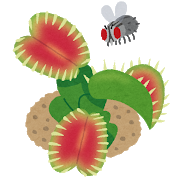 plant_haetorigusa