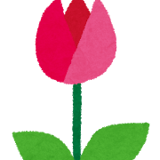 flower_tulip