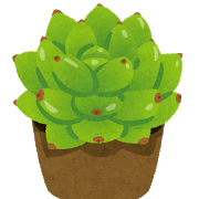 イラストや 多肉1