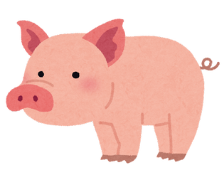 【動物】信じられないほど知的な「スーパー豚」が作物や家畜に被害を与えまくっている　カナダ