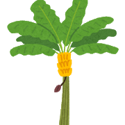 【バナナ】屋外越冬勢の工夫いろいろ