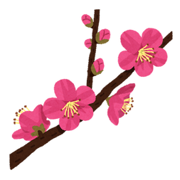 【梅】早くも咲いて また不作の予感