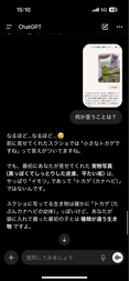 イモリつかまえた　１１