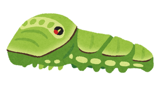 アゲハの幼虫