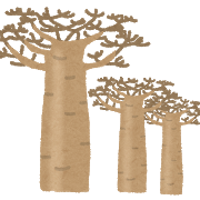 baobab_tree