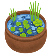 【睡蓮】咲かせたくて日向に出したら水が茶色になるのなんとかできないだろうか？