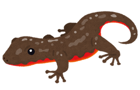 imori_akaharaimori (1)