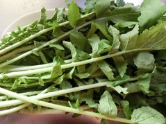 大根の葉っぱどうしてる？食ってる？