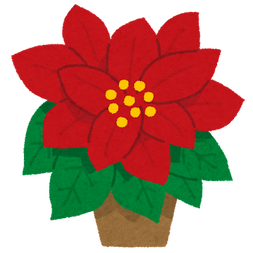 flower_poinsettia