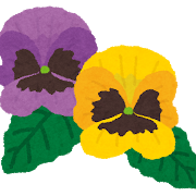 flower_pansy