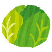 vegetable_cabbage2