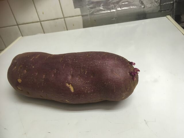 食べるのを忘れてた芋からは簡単に芽が出るというのに 意外に繊細 サツマイモの苗作り グリーンらいふまとめ