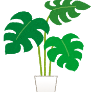 イラストや　観葉植物１