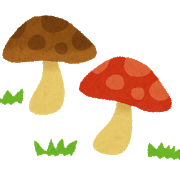 大型キノコの成長見守る　鹿嶋の永作さん夫妻　オニフスベか