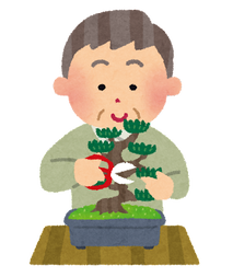 なんで年を取ると盆栽やコケや庭が気になるんだろうな？