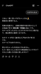 イモリつかまえた　６