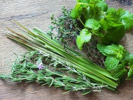 ちゃんとした野菜はスーパーにはかなわないから、自分ではハーブを育てるようになった