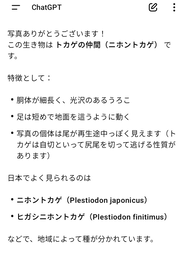イモリつかまえた　７