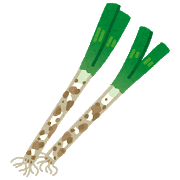 【野菜】冬の味覚「下仁田ネギ」が値段高騰…農家「昨年の半分」　不作の原因とは?生産地・下仁田町では爆買い客も